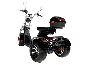 Trike PRO 12